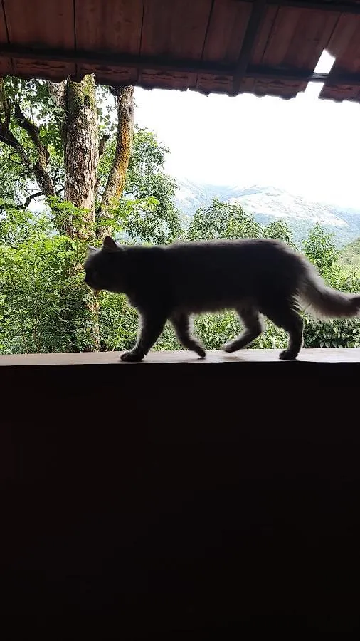 Planet Green Plantation Resorts, Wayanad, Kerala Kalpetta