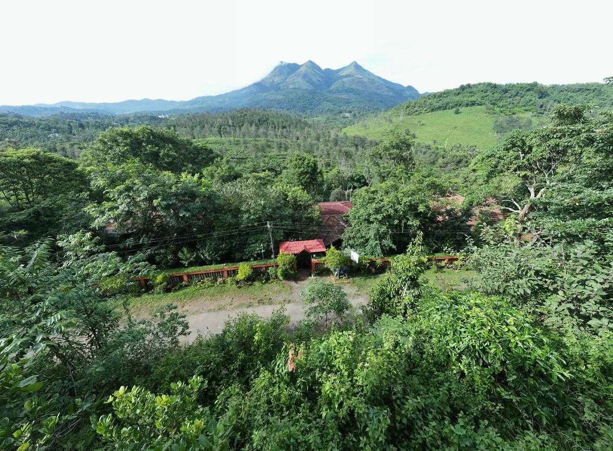 Resort Planet Green Plantation Resorts, Wayanad, Kerala Kalpetta