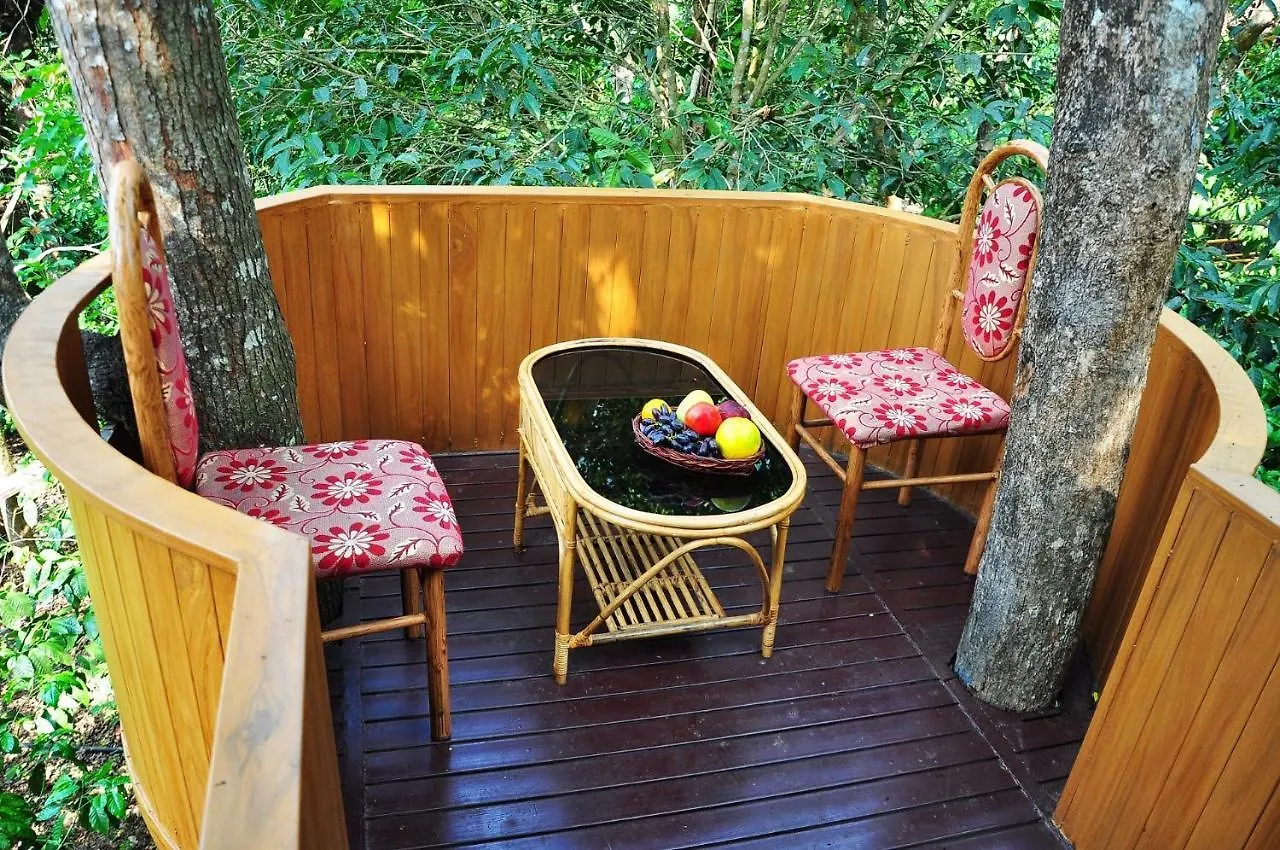 Resort Planet Green Plantation Resorts, Wayanad, Kerala Kalpatta