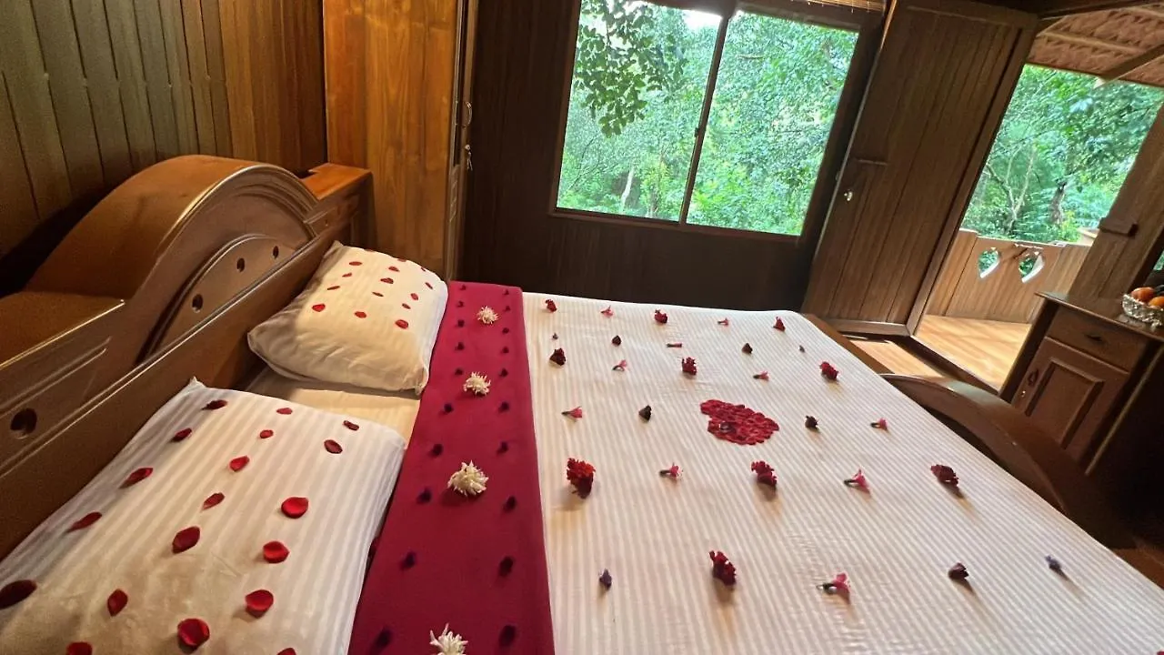 *** Resort Planet Green Plantation Resorts, Wayanad, Kerala Kalpatta Indien