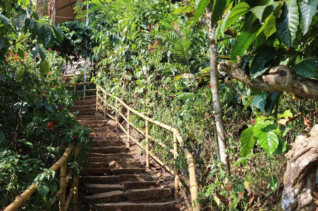 Resort Planet Green Plantation Resorts, Wayanad, Kerala Kalpatta