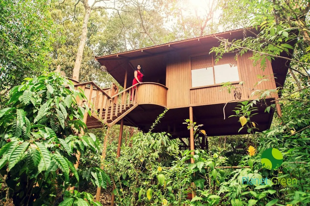 Planet Green Plantation Resorts, Wayanad, Kerala Kalpetta Resort