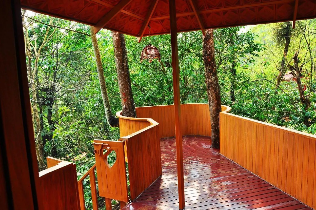 Planet Green Plantation Resorts, Wayanad, Kerala Kalpetta 3*,  India