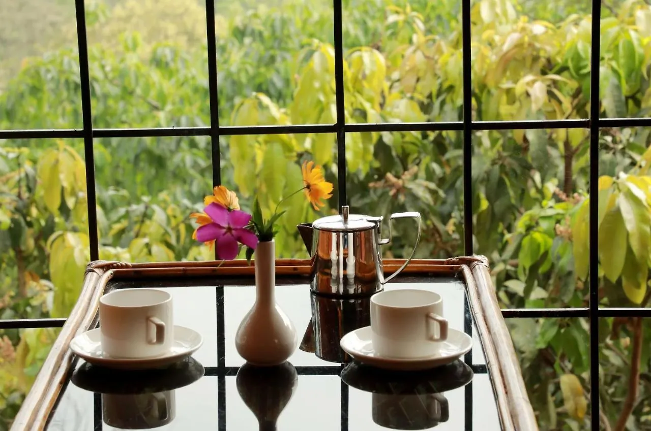 Planet Green Plantation Resorts, Wayanad, Kerala Kalpetta India