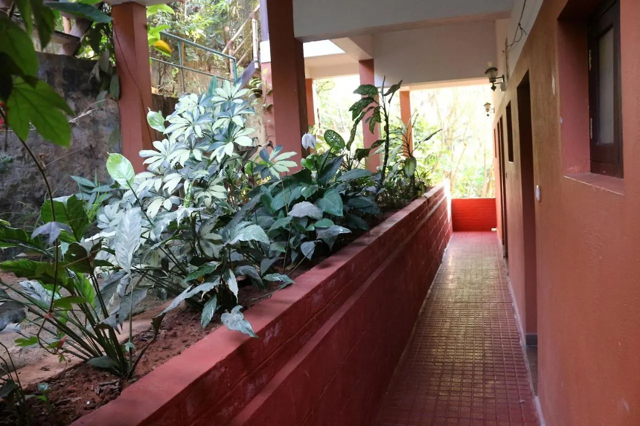 Resort Planet Green Plantation Resorts, Wayanad, Kerala Kalpetta