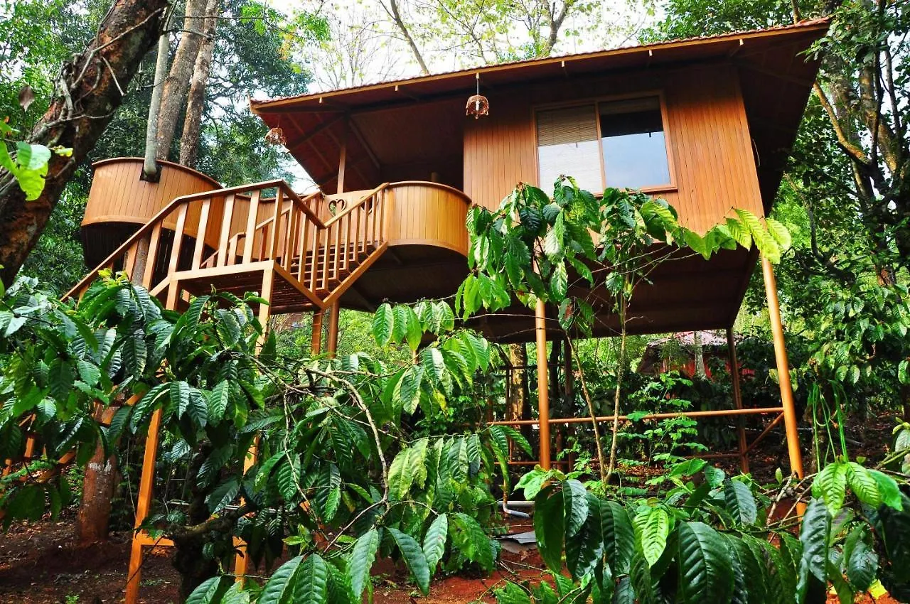 Planet Green Plantation Resorts, Wayanad, Kerala Kalpetta