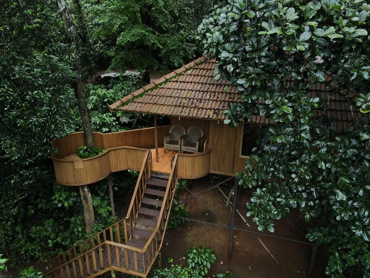 Planet Green Plantation Resorts, Wayanad, Kerala Kalpetta 3*,