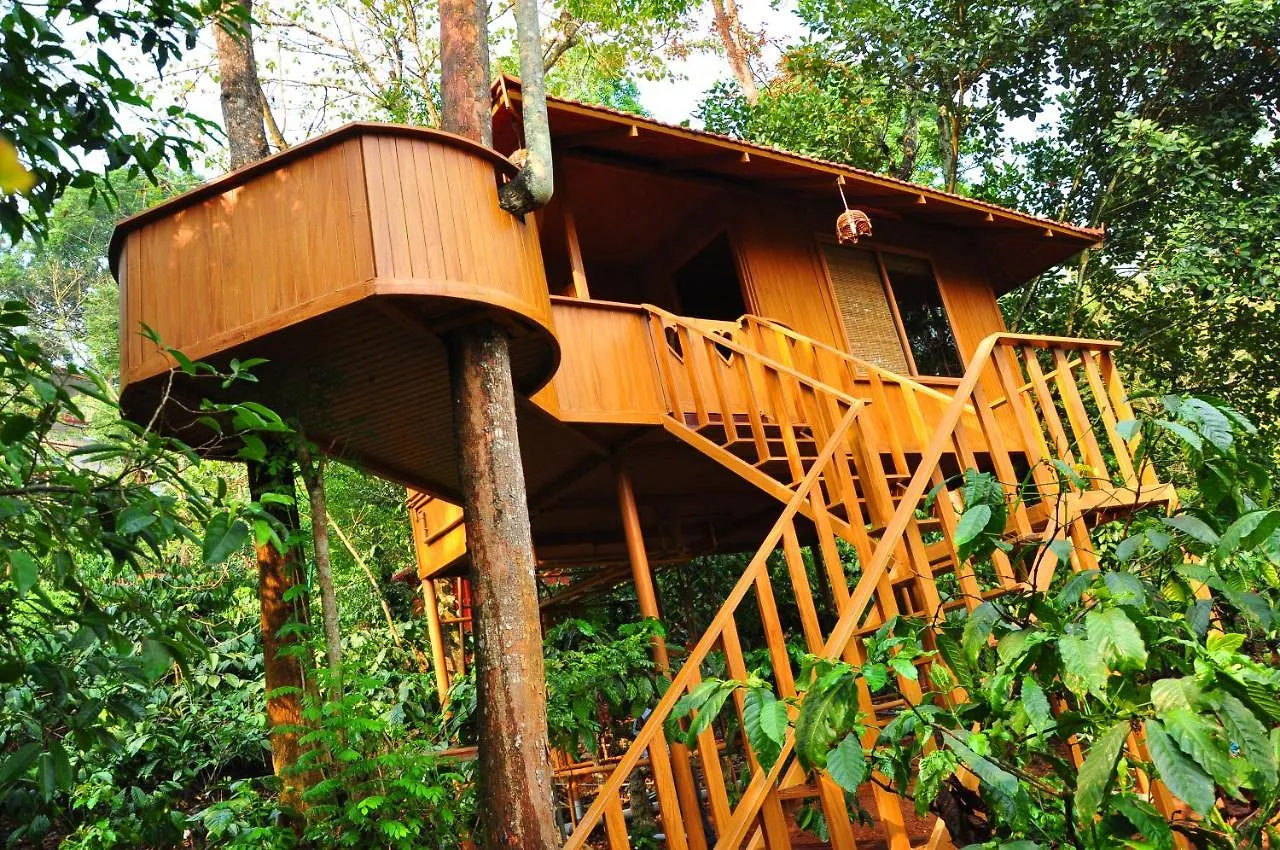 Planet Green Plantation Resorts, Wayanad, Kerala Kalpetta