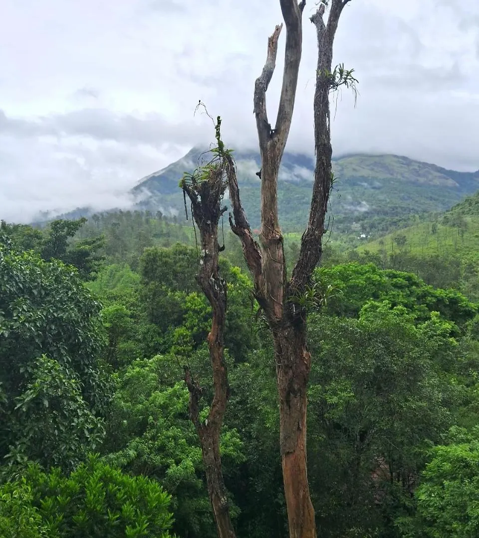 Resort Planet Green Plantation Resorts, Wayanad, Kerala Kalpetta